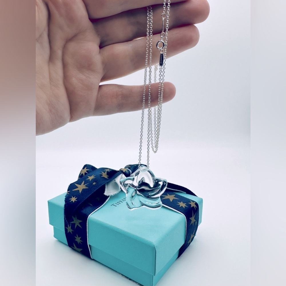 RARE Tiffany & Co. Elsa Peretti Rock Crystal Large Star 30” Silver Necklace